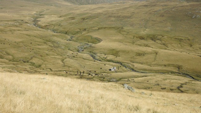 Pazardere Valley