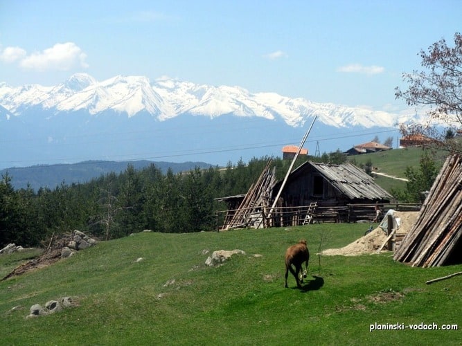 Mountain Bikig in Rhodope Mountains - view to the Northern Pirin Mountains
