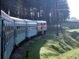 The narrow gauge train near Avramovo station