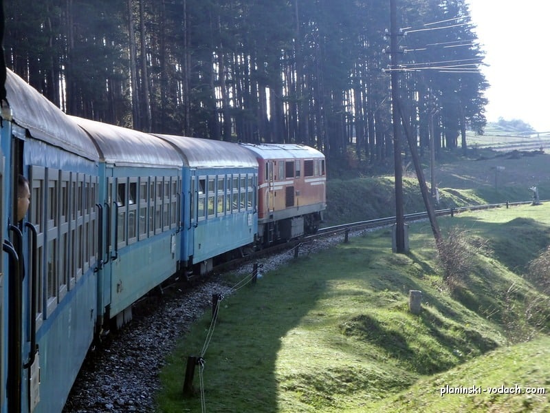 The narrow gauge train near Avramovo station