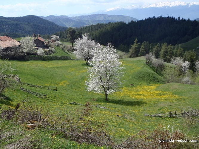Spring views in Rhodopes Spring views in Rhodopes