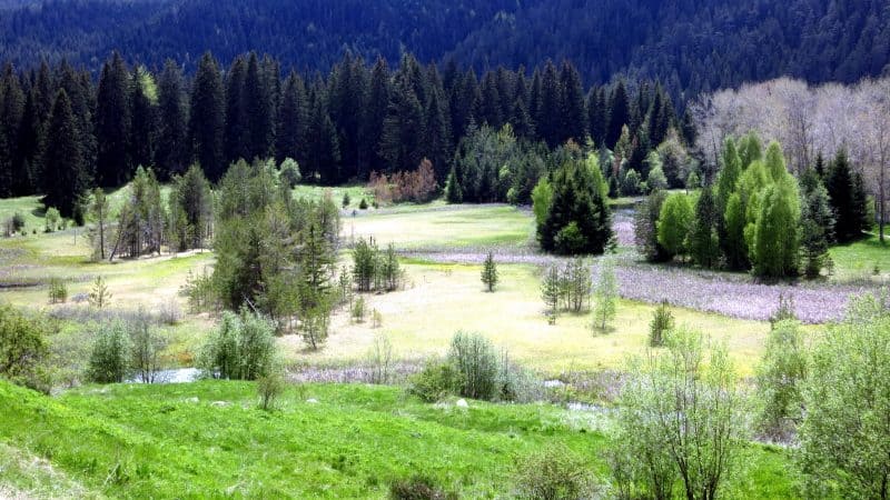 The villages of Rhodopes A lake at Chairite Locality