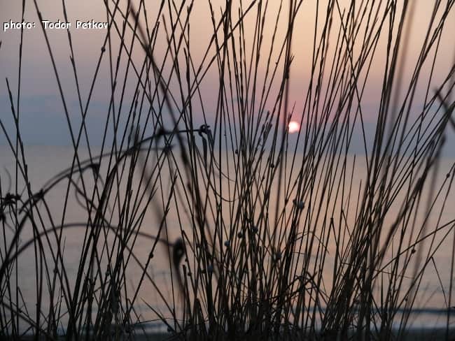 Sunrise over the sea