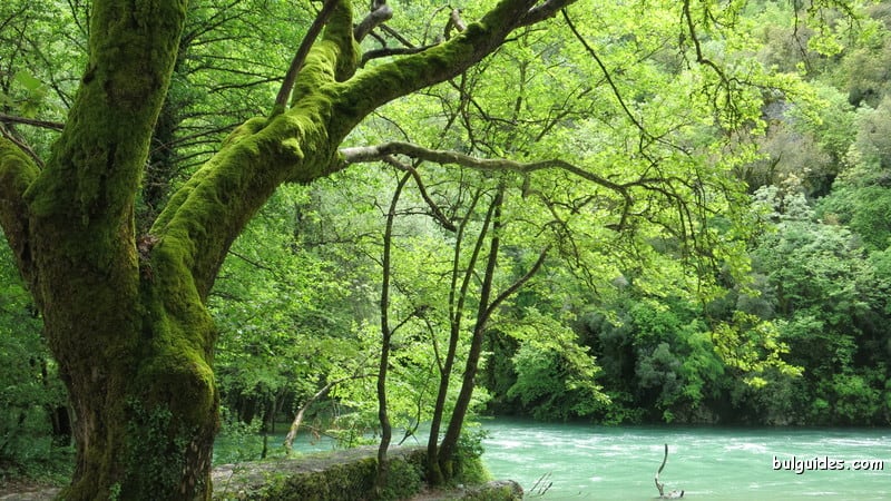 Springs of Voidomati