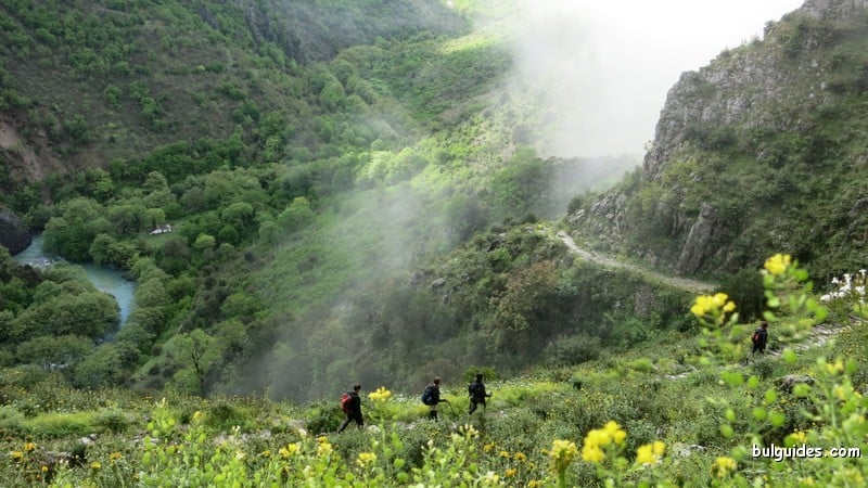 Vikos Gorge