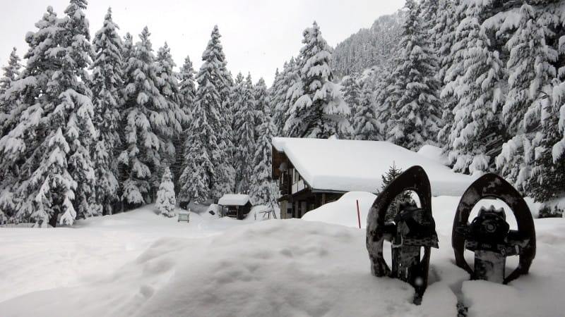 Skakavitsa Hut