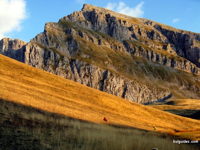 Timfi main ridge