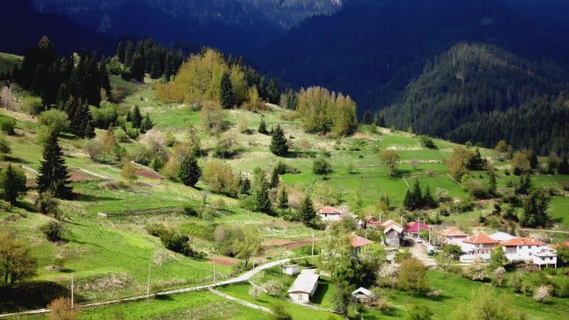 The green slopes of the Rhodopes near Gela village