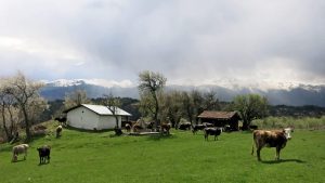 A small chapel in the foot of Kremenski Peak