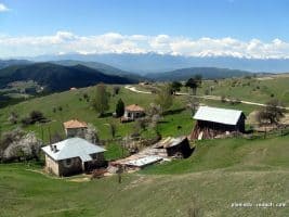 The village of Ortsevo
