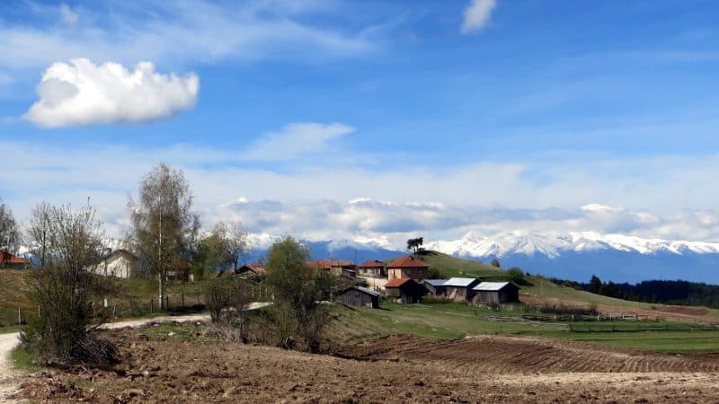 Zlataritsa Village, Western Rhodope Mountains, 1th of May (The Labour Day). The locals are already hard working on the fields, while the Pirin Mountains on the background are still all in white.