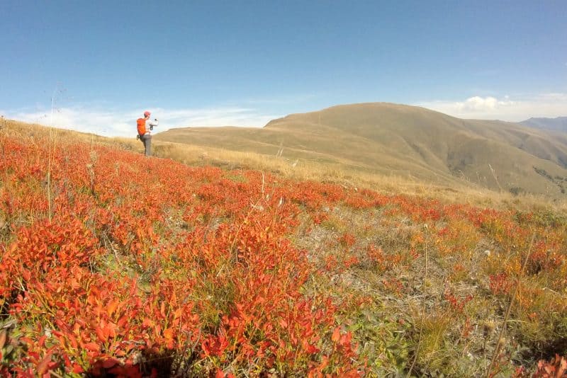 Autumn in Balkan Mountains