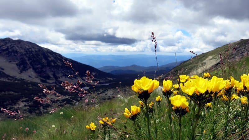 Pirin Mountains in June - warm weather, fewer people on the trails, but the atmosphere might be unstable.
