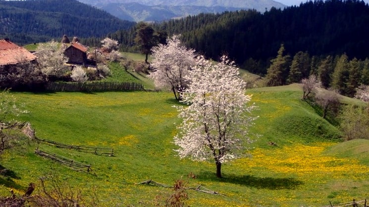 Spring in the Rhodopes
