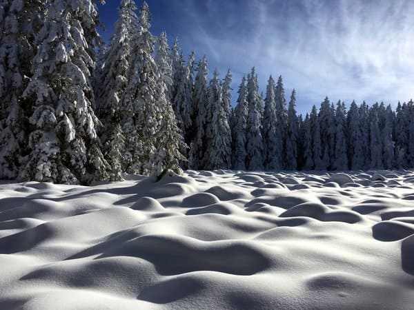 Vitosha Mountains