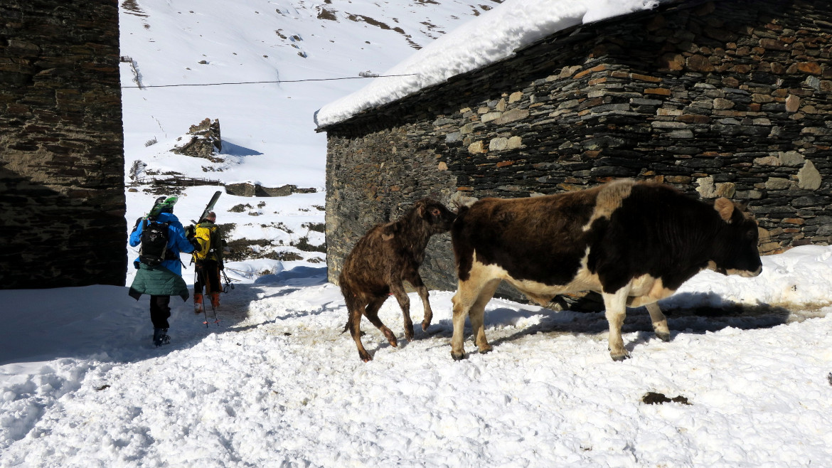 Ski touring in Ushguli