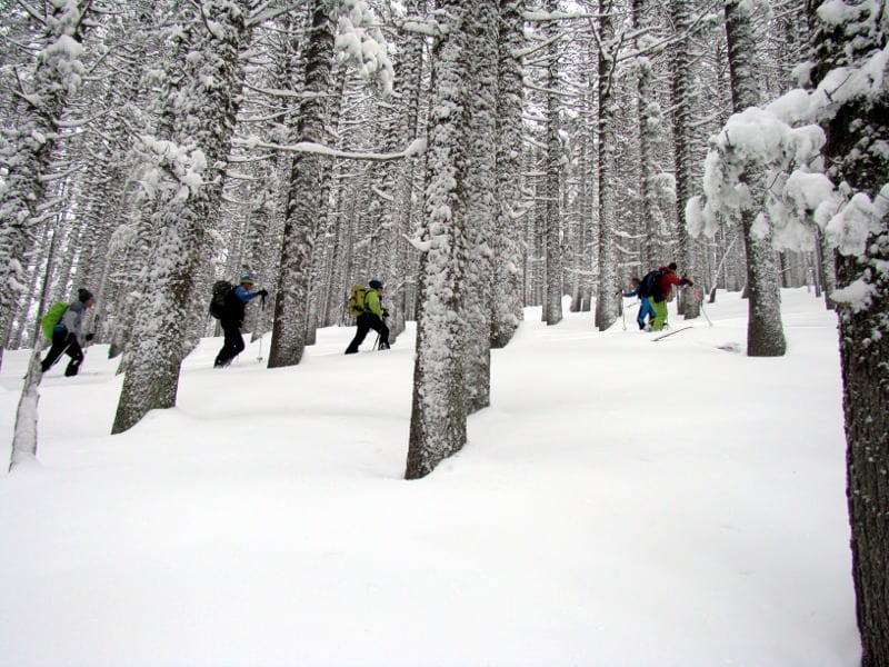 Ski touring Pirin Yavorov Hut