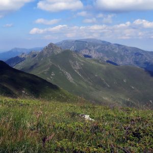 Central Balkan sheep herd and shepherd